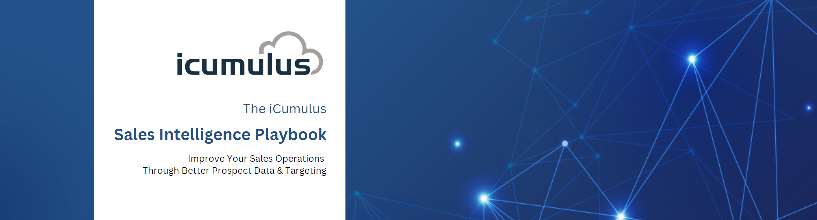 iCumulus: Sales Intelligence Playbook